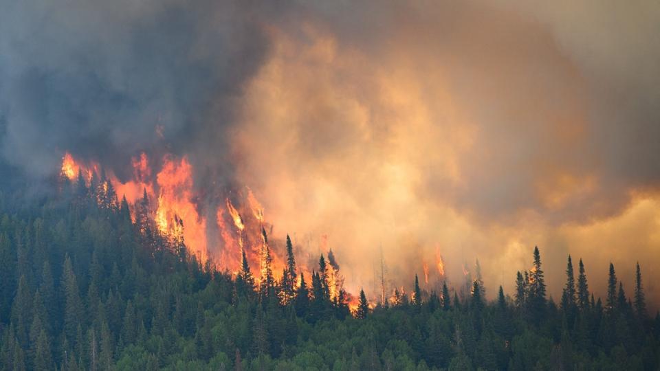 Incendies au Canada : la France touchée par les fumées dès ce lundi