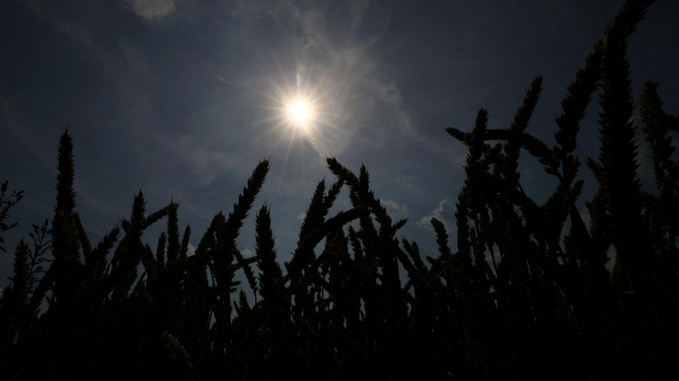 «Le monde vient de connaître la semaine la plus chaude jamais enregistrée», annonce l'ONU