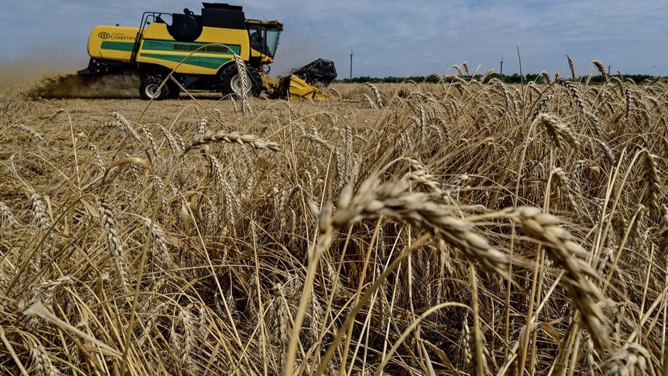 Fin de l'accord sur les céréales ukrainiennes : quelles conséquences ?