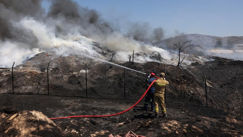 Incendies en Grèce : l'écosystème «en danger», selon des experts