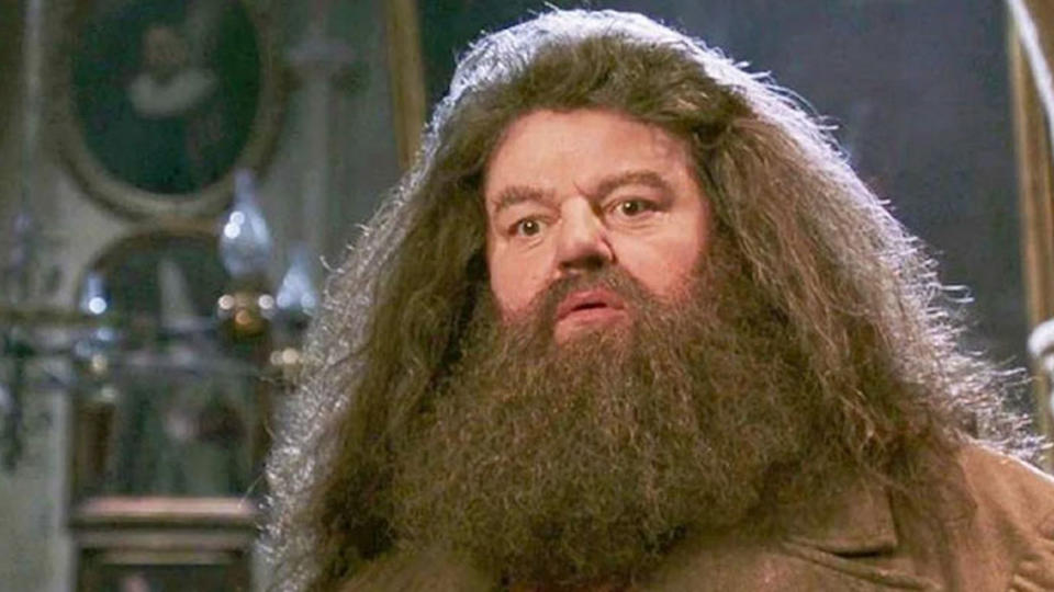 Harry Potter : l'acteur Robbie Coltrane, qui incarnait Rubeus Hagrid, est mort