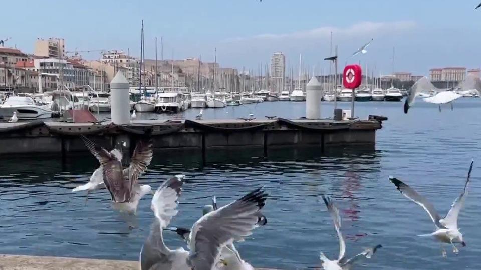Vacances de Pâques : Marseille savoure le retour des touristes