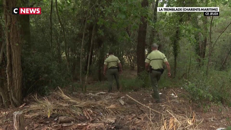 Canicule : Surveillance renforcée dans les forêts pour éviter les incendies