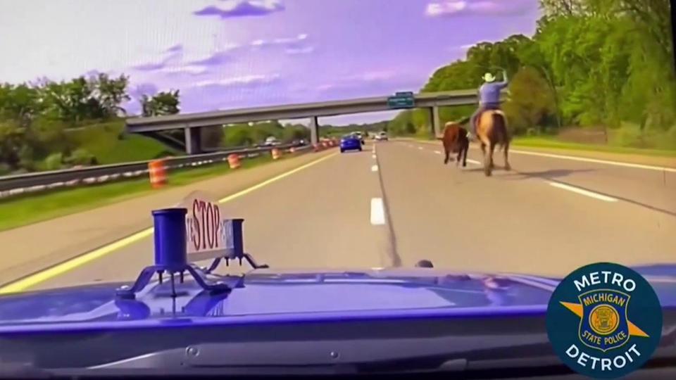 États-Unis : un cowboy réalise un vrai «rodéo urbain» dans le Michigan (vidéo)