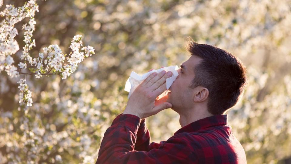 Allergies aux pollens : la quasi-totalité de la France placée en alerte rouge