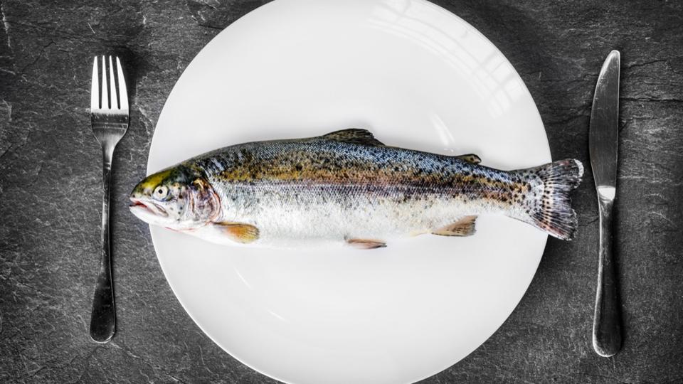 Voici les 5 poissons qui contiennent le plus de protéines 