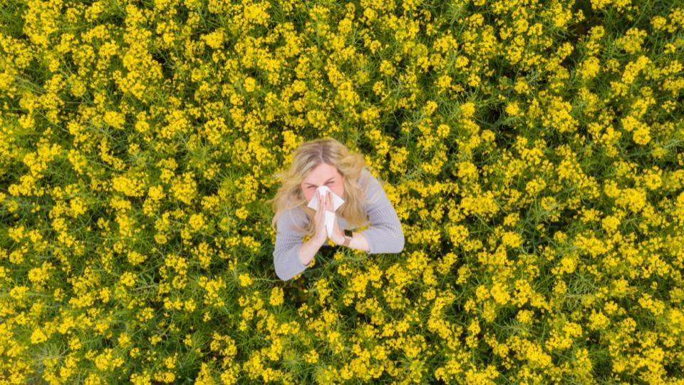 Allergies aux pollens : ces 4 symptômes méconnus qui doivent alerter