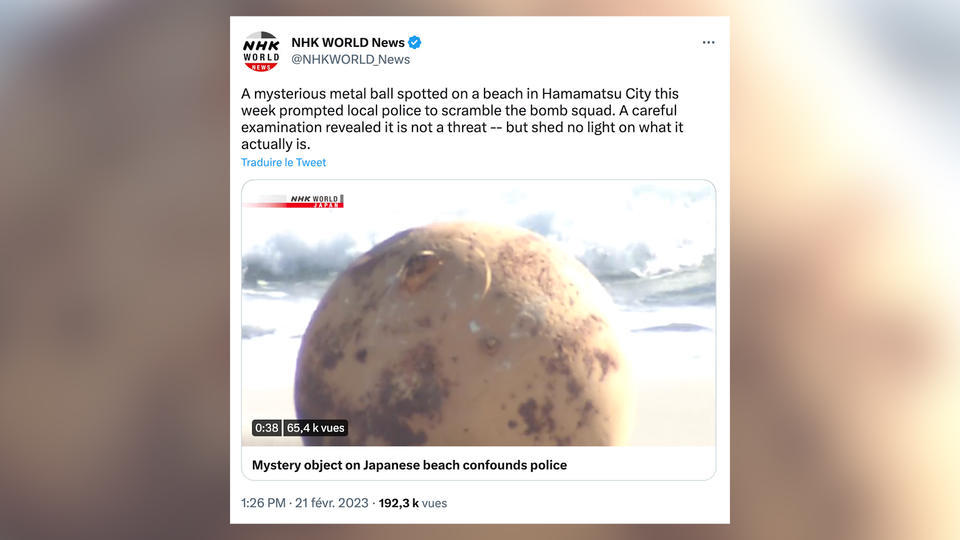 Japon : ce que l'on sait sur la mystérieuse sphère d'1,5 mètre retrouvée sur une plage