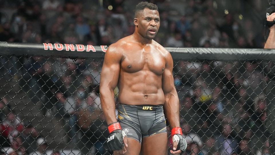 Boxe et MMA : vers un combat légendaire entre Wilder et Ngannou en Afrique ?