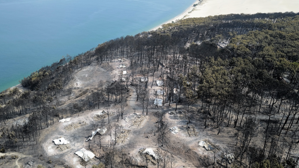Incendies en Gironde : trois départements demandent des «états généraux» sur la gestion de la forêt des Landes