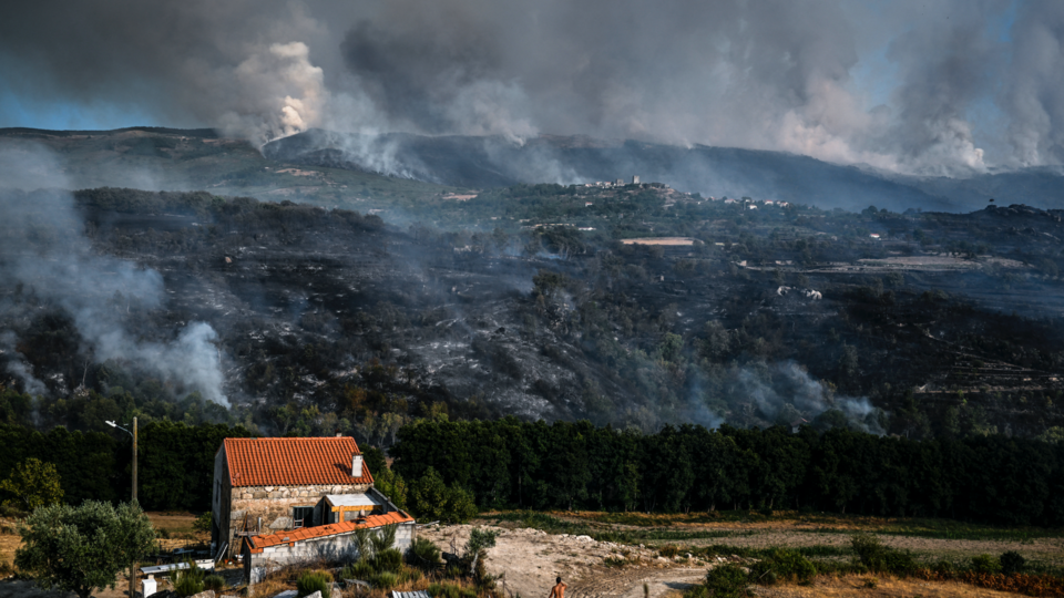Portugal : un feu de forêt détruit 10.000 hectares dans une région protégée