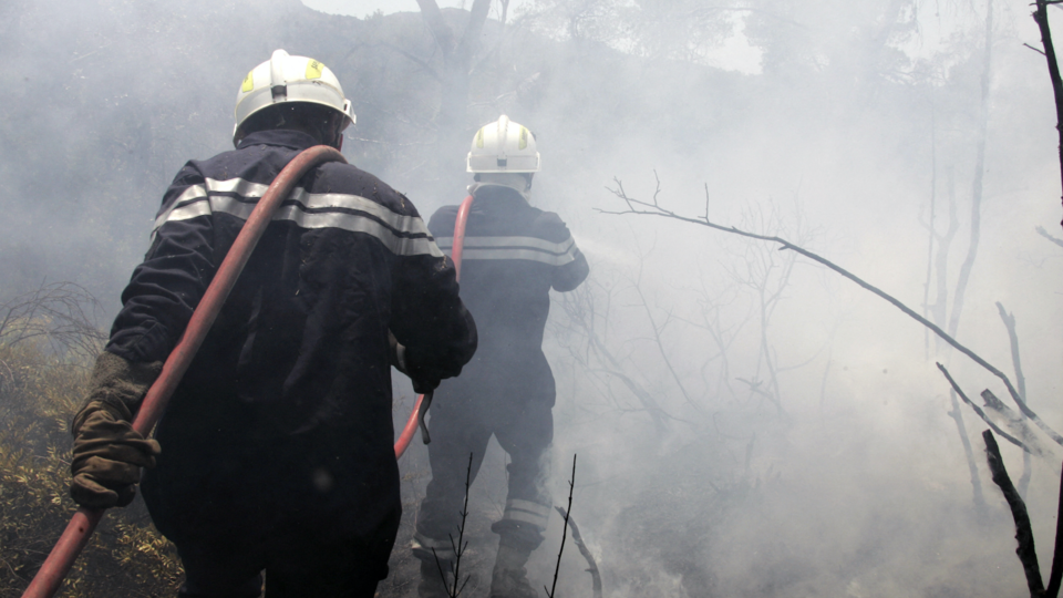 Incendies : la mythique forêt de Brocéliande (Morbihan) touchée par le feu, 230 hectares brûlés