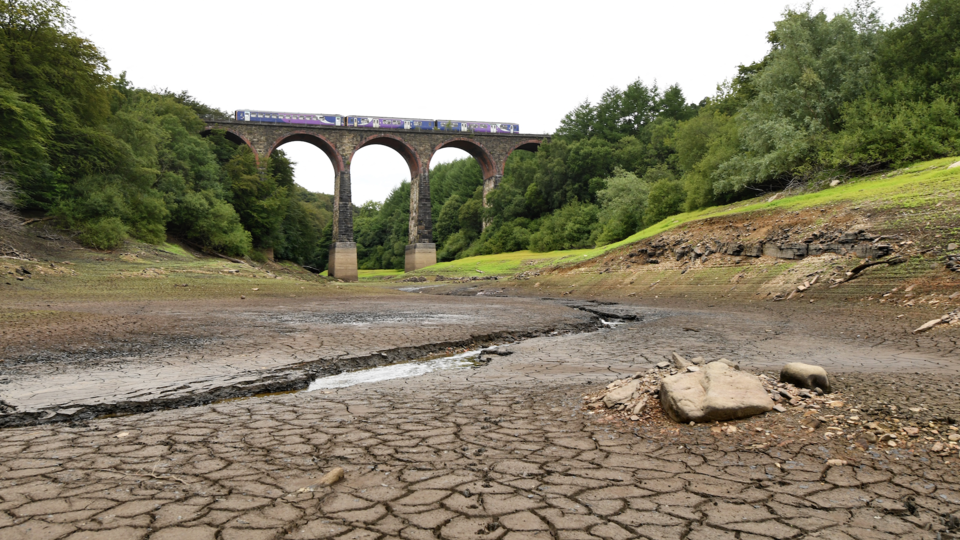 Royaume-Uni : une bonne partie du pays déclarée en état de sécheresse