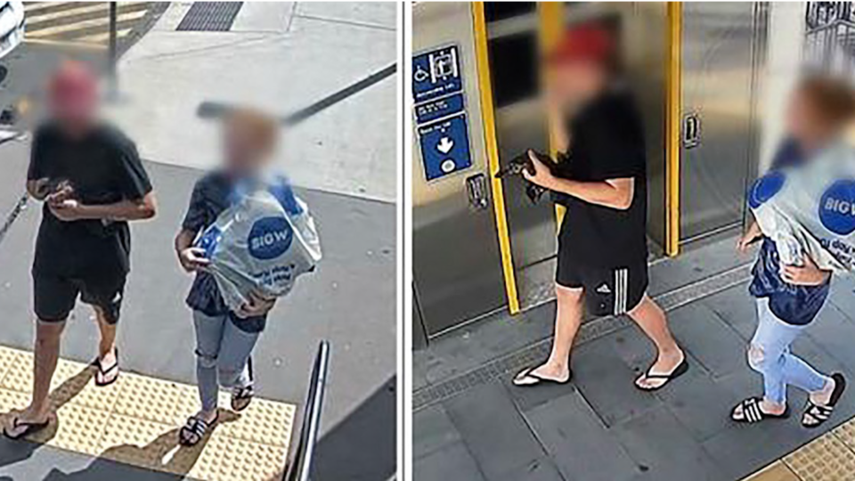 Australie : deux personnes recherchées après avoir été repérées dans une gare avec un petit ornithorynque