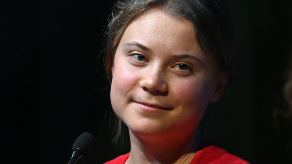COP 27 : pour l'activiste écologiste Greta Thunberg, les COP sont devenues des machines à «greenwashing»