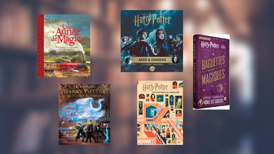 Noël 2022 : une sélection des meilleurs cadeaux à offrir à un fan d'Harry Potter