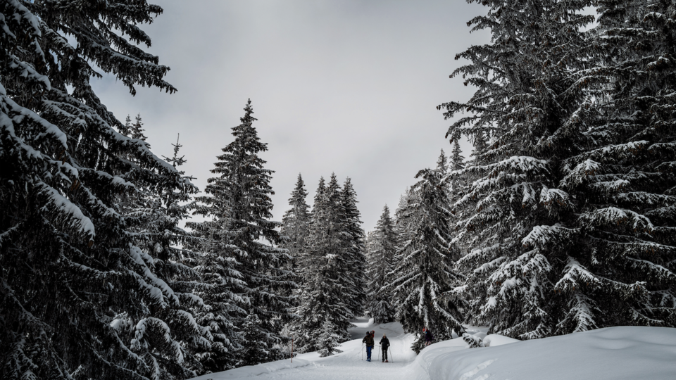 Retour de la neige : plusieurs stations de ski rouvrent ce week-end