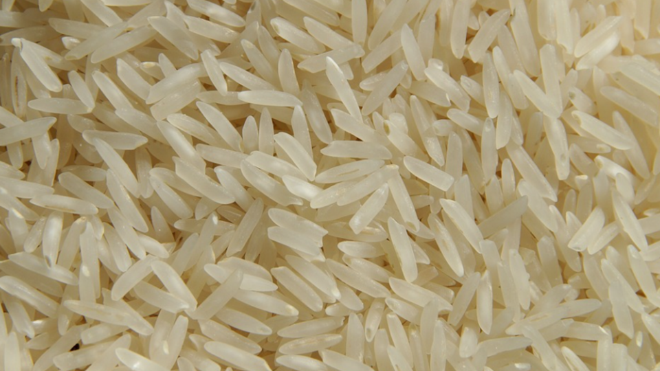 Santé : tout savoir sur le chlorpyrifos, ce pesticide détecté dans du riz basmati nocif pour la santé des enfants