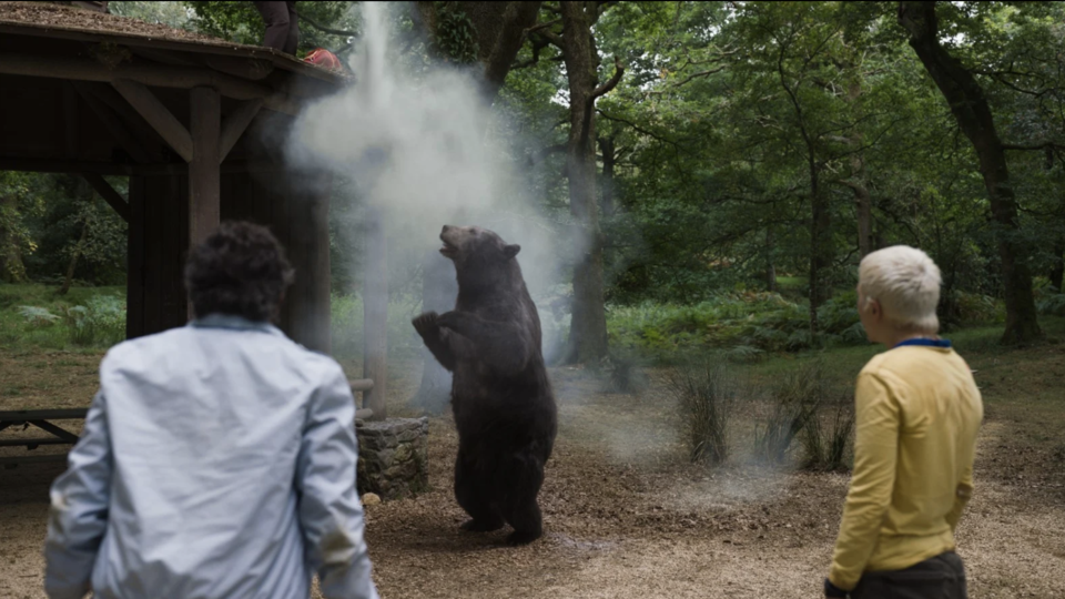 Cinéma : que vaut Crazy Bear, cette histoire d'ours accro à la cocaïne ?