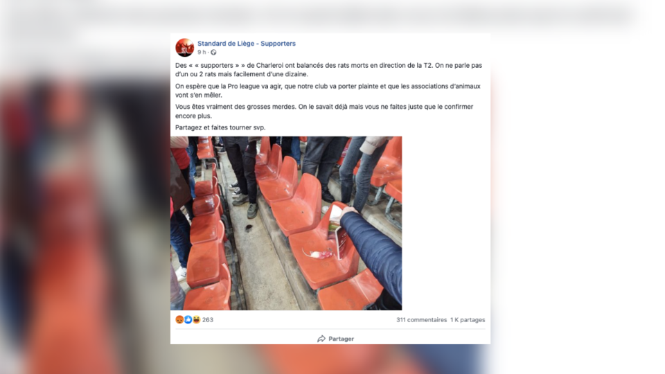 Football : des supporters lancent des rats morts sur des fans adverses en Belgique