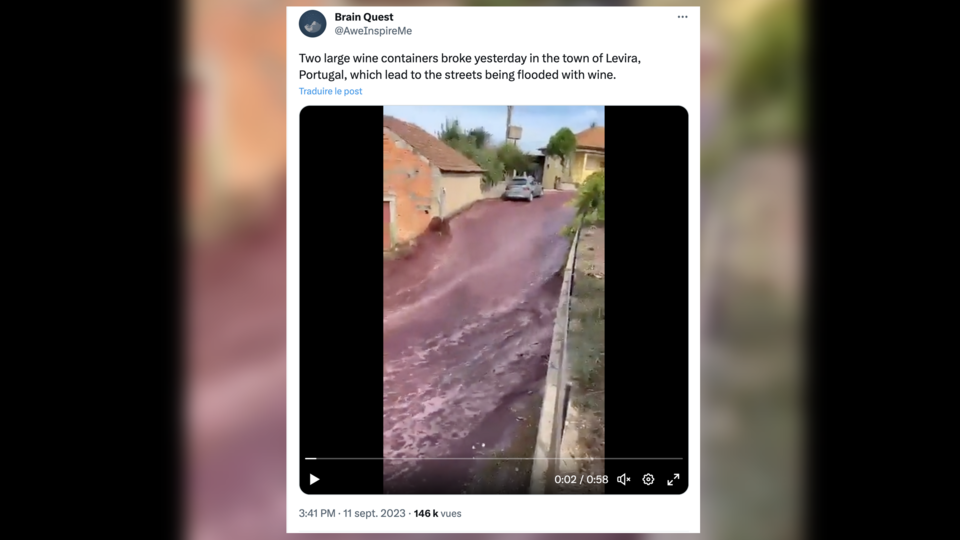Insolite : les images impressionnantes d'une inondation de vin rouge dans un village portugais (Vidéo)