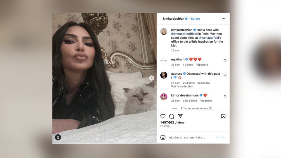 Kim Kardashian attaquée par Choupette, la chatte de Karl Lagerfeld