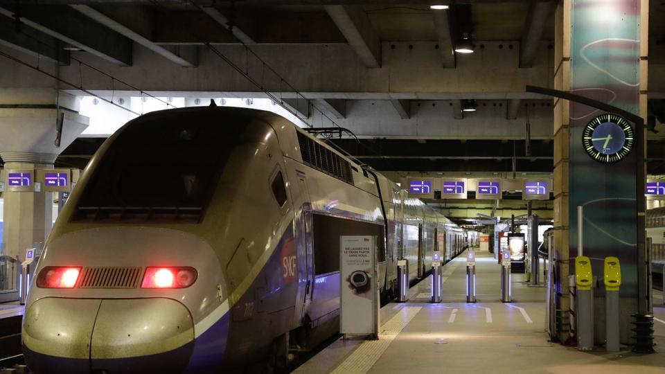 Chat coupé en deux par un TGV à Paris : la polémique enfle
