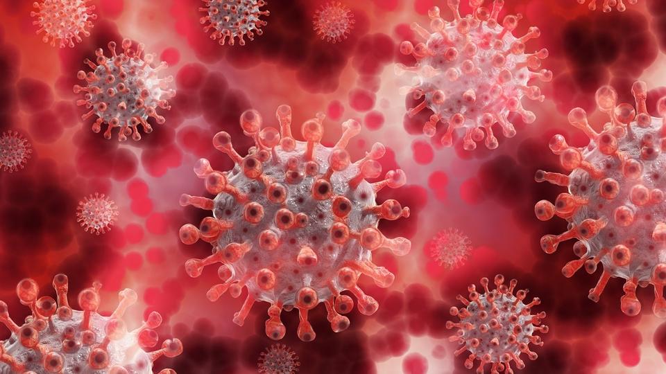 Voici les 3 virus les plus mortels de l'Histoire