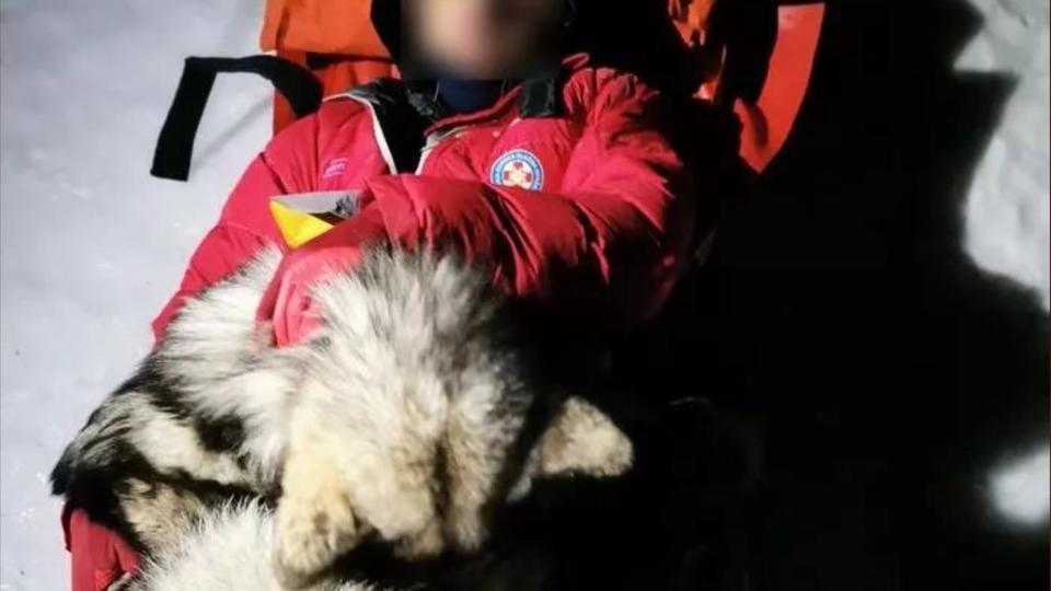 Croatie : Un chien sauve un randonneur dans la montagne en le réchauffant 13 heures
