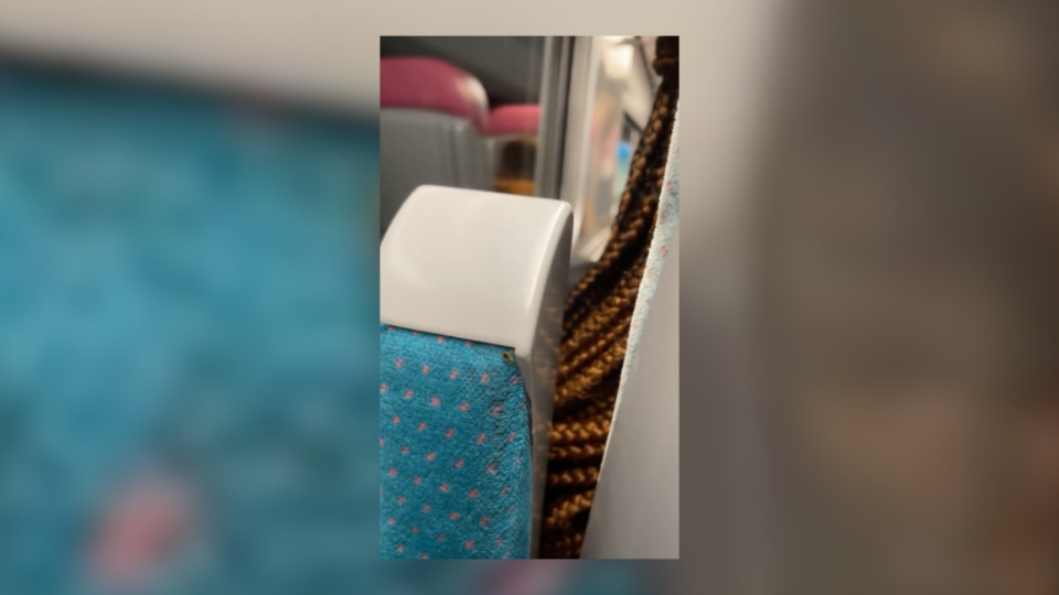 SNCF : La passagère d'un Ouigo filme des punaises de lit dans son wagon