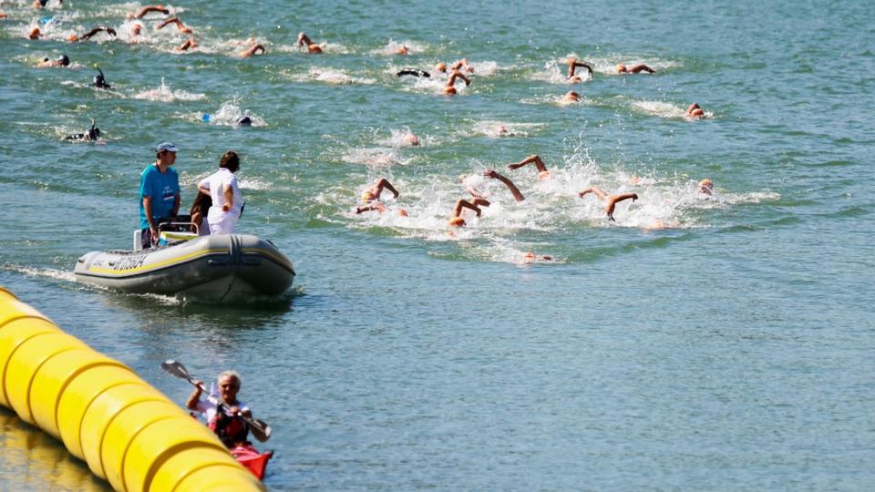 EDF Aqua Challenge : Date, lieu, courses... tout savoir sur le rendez-vous parisien des nageurs