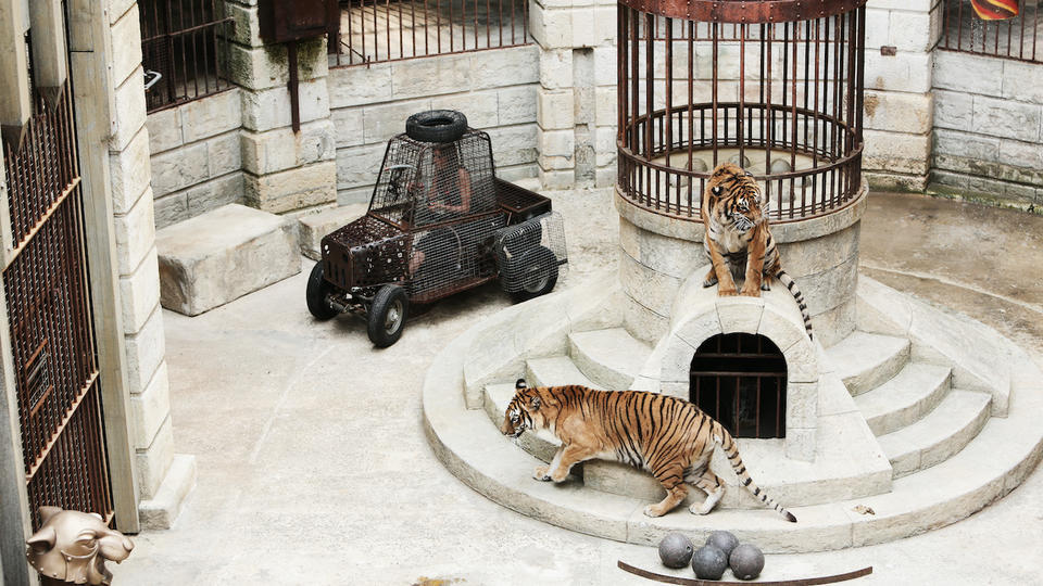 Fort Boyard : les nouveaux tigres sous le feu des critiques