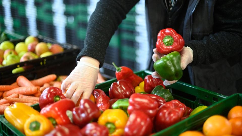 Inflation : le prix des fruits et légumes a bondi de 11 % entre 2021 et 2022