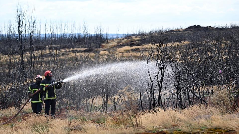 Incendies en France : de nombreux feux de forêt recensés dans le sud du pays