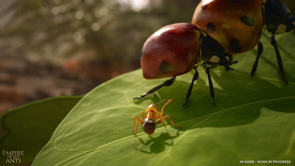 «Les fourmis» : le best-seller de Bernard Werber sera adapté en jeu vidéo