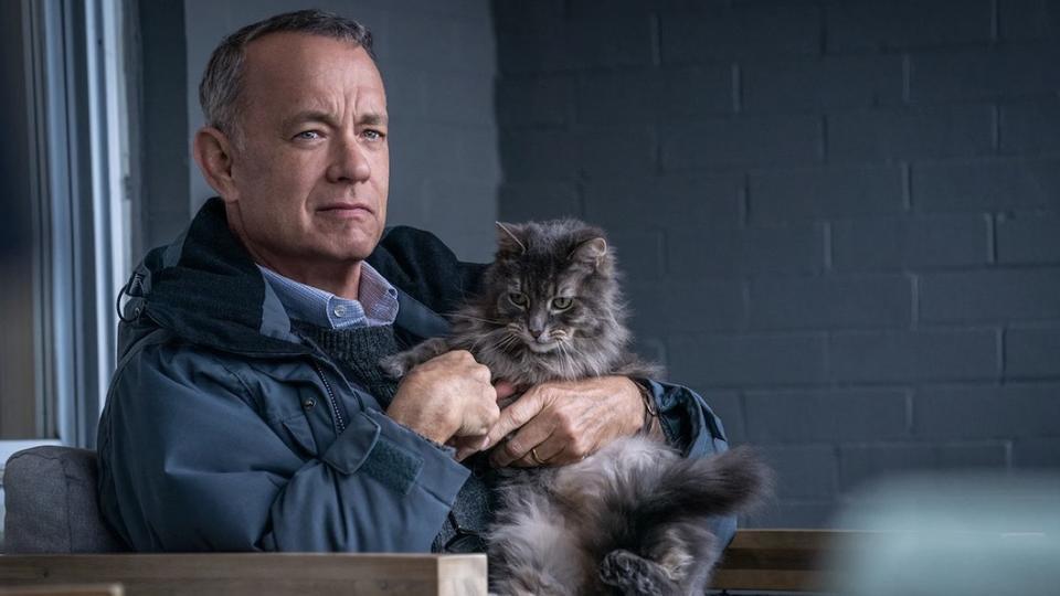 Cinéma : Tom Hanks est-il vraiment «le pire voisin au monde» ?