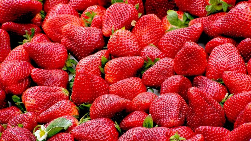 Cette erreur que l'on fait tous avec les fraises et qui modifie leur goût
