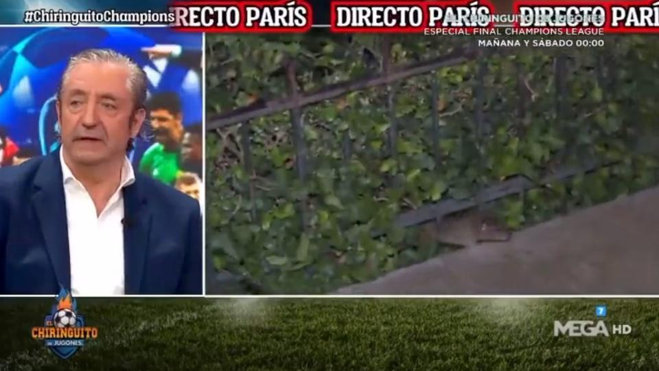 Ligue des champions : un rat pousse un journaliste espagnol à interrompre son direct en plein Paris