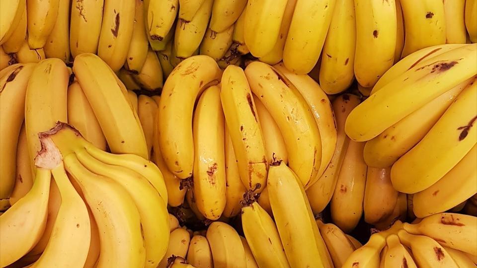 Banane : la variété la plus répandue au monde menacée de disparition