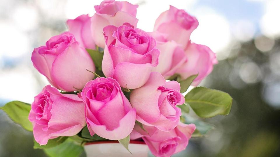 Fête des Mères : ces 5 variétés de fleurs à offrir