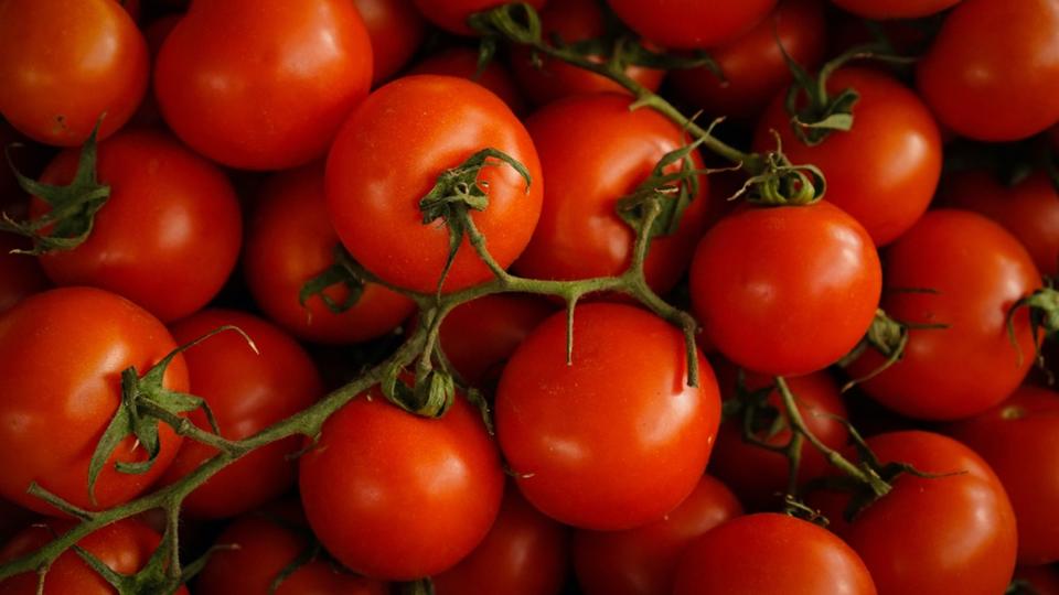 Fongicide : des tomates en grappes contaminées rappelées dans toute la France