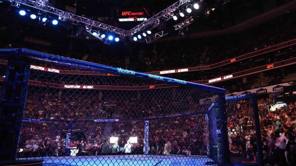 UFC : deux KO impressionnants lors de la Fight Night de Las Vegas (vidéo)
