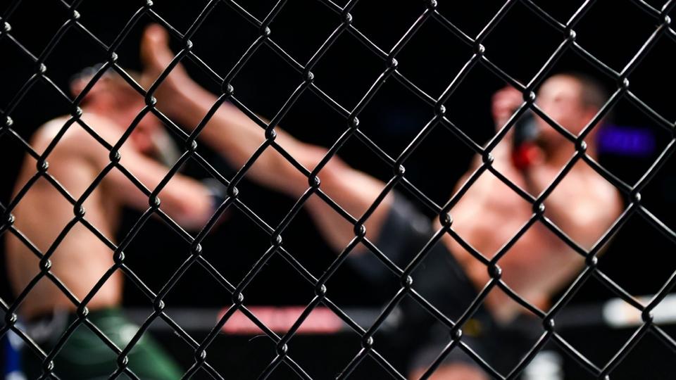 UFC : un ancien combattant décède à l'âge de 34 ans