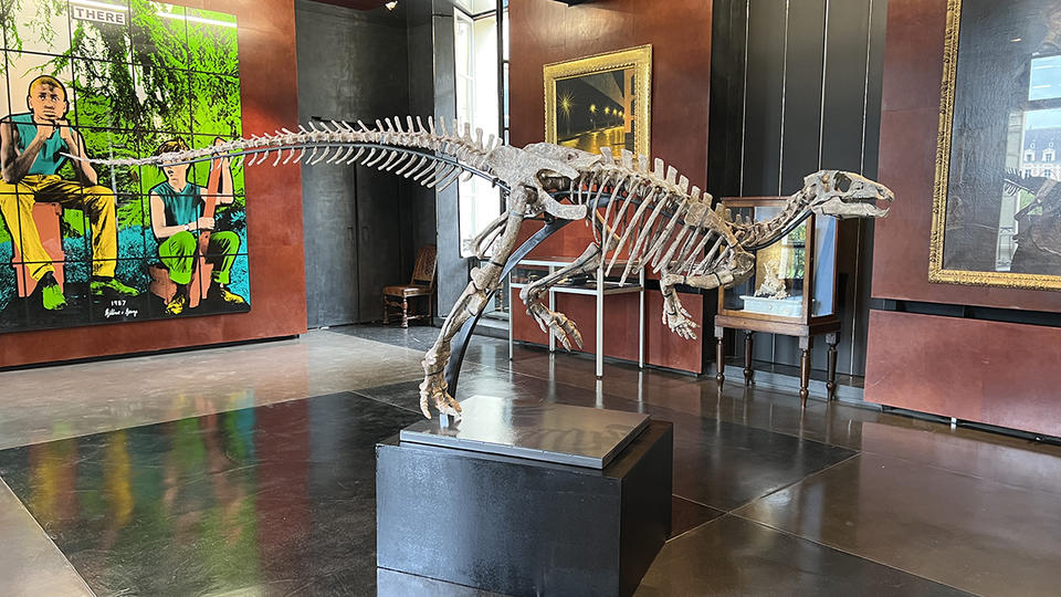 Un dinosaure vieux de 150 millions d'années mis aux enchères à Paris
