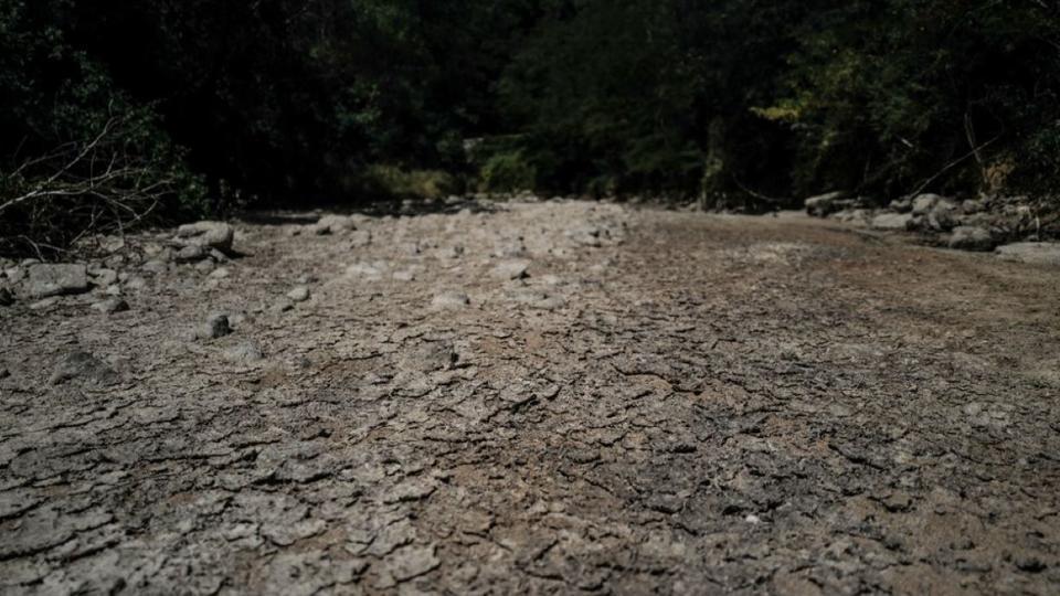 Sécheresse : le Var soumis à d'importantes restrictions d'eau