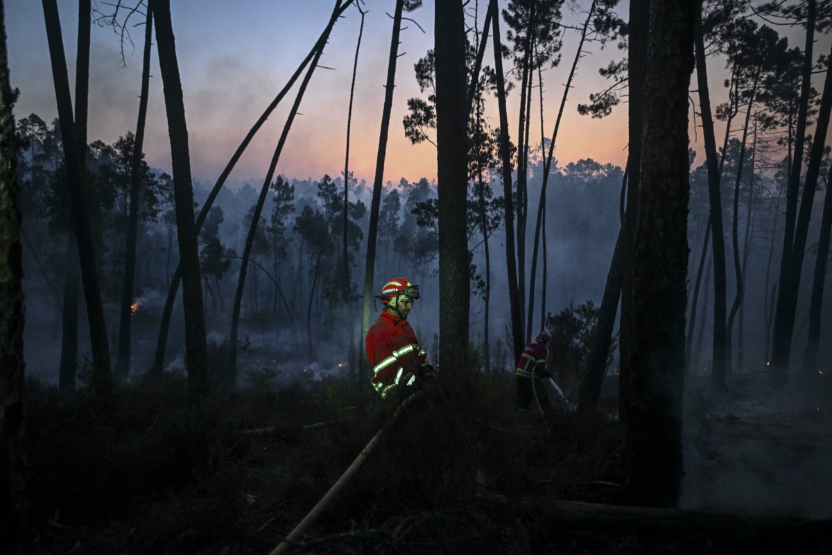 Incêndios: Portugal luta para controlar vários incêndios florestais