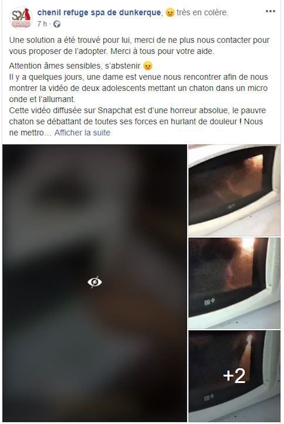 France: deux adolescents enferment un chaton dans un micro-ondes, l'allume, et  diffusent la vidéo sur la toile