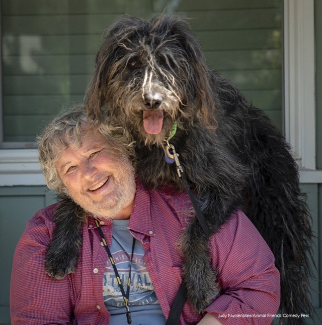 7._pets_who_look_like_owners_category_winner_judy_nussenblatt_dave_and_dudley-taille640_632b4adfb131e.jpg