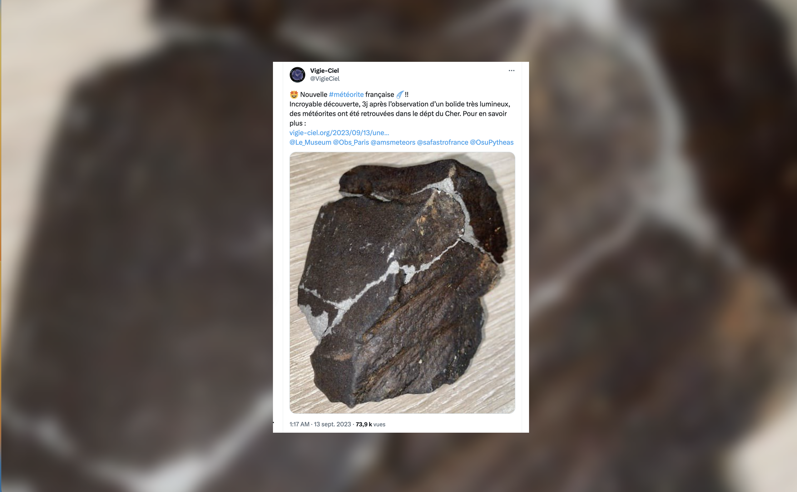 Expensive: A 4.5 billion-year-old meteorite crashed into a resident’s garden