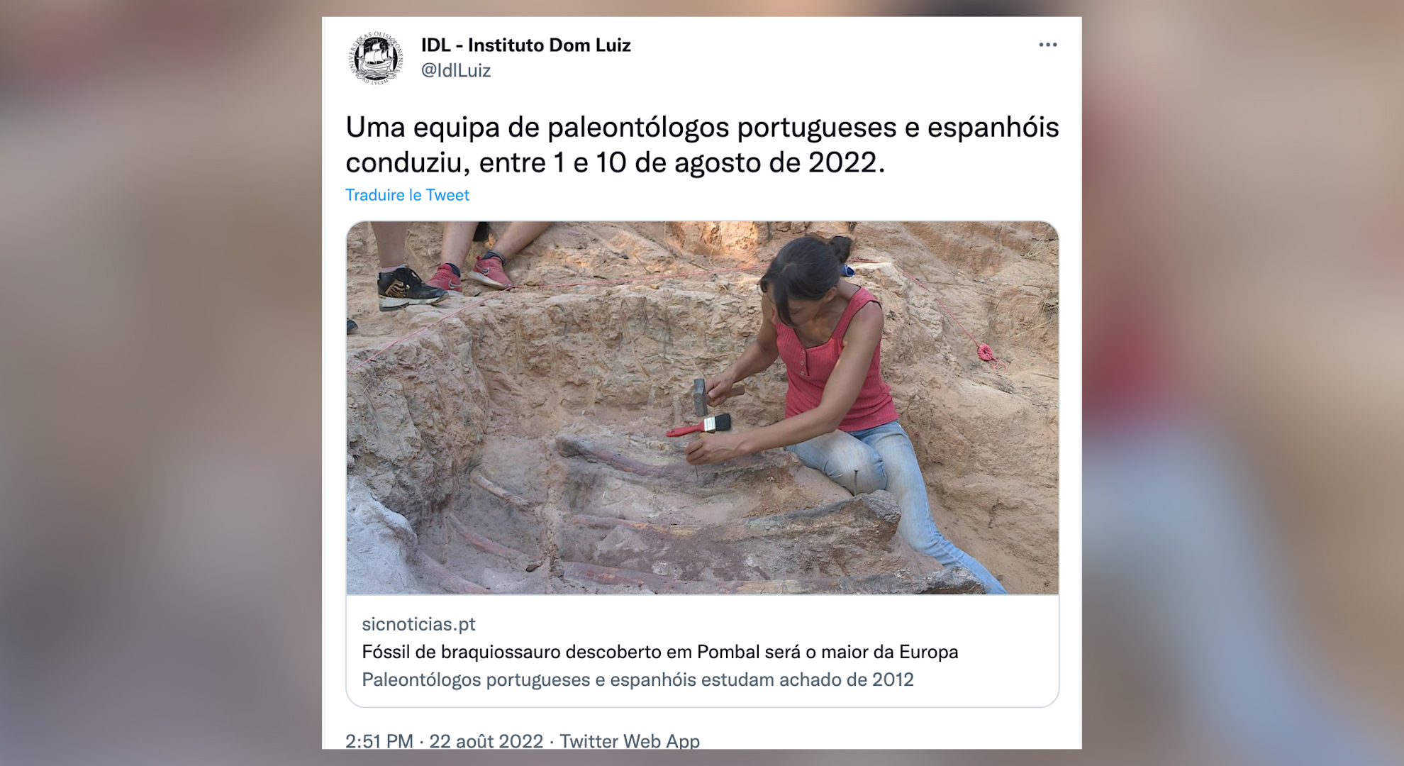 Dinosaur bones 25 meters long were found in Portugal